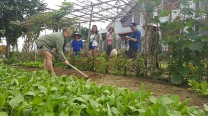 An My Village Organic Farming Initiative